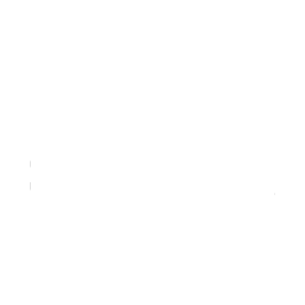 SE Brands